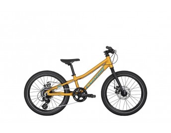Rask R80, 20 lasten polkupyörä (Sinappi)